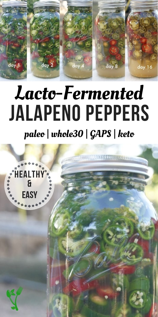 Lacto-Fermented Jalapeño Peppers - Skip the jarred jalapeño and make a healthy batch rich in beneficial probiotics with 2 simple ingredients. Naturally Paleo, GAPS, Whole30 and Keto. #fermented #healthy
