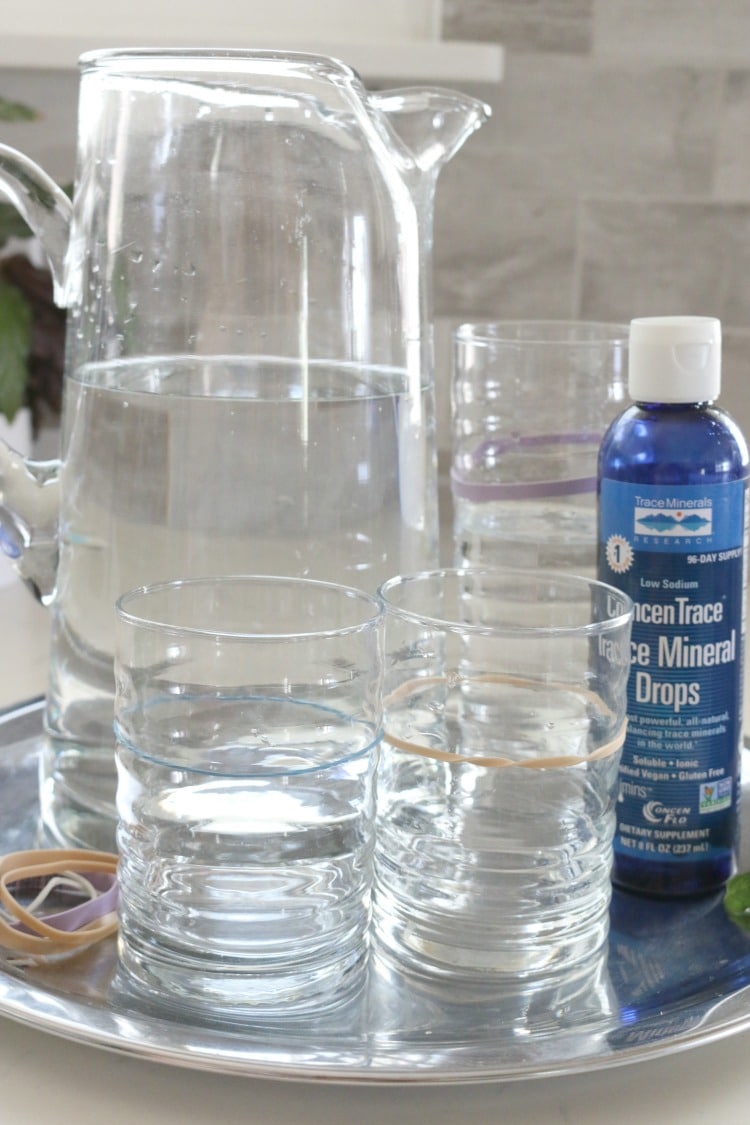 Why Every Kitchen Needs a Hydration Station and How to Make One - Learn two reasons why every kitchen needs a hydration station and make one today!