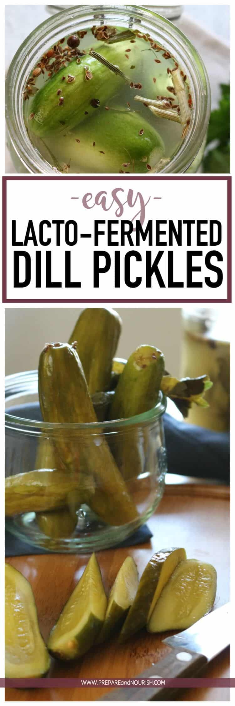 Easy Lacto-Fermented Dill Pickles -These Easy Lacto-Fermented Dill Pickles are a great way to preserve those cucumbers naturally with live enzymes and probiotics. It's originally made with dill and garlic, but you can add your favorite spices to this easy ferment. #paleo #lowcarb #ferment