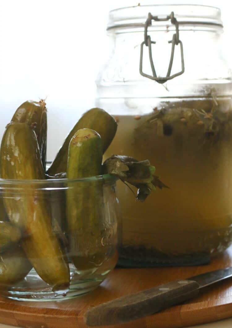 Easy Lacto-Fermented Dill Pickles -These Easy Lacto-Fermented Dill Pickles are a great way to preserve those cucumbers naturally with live enzymes and probiotics. It's originally made with dill and garlic, but you can add your favorite spices to this easy ferment.