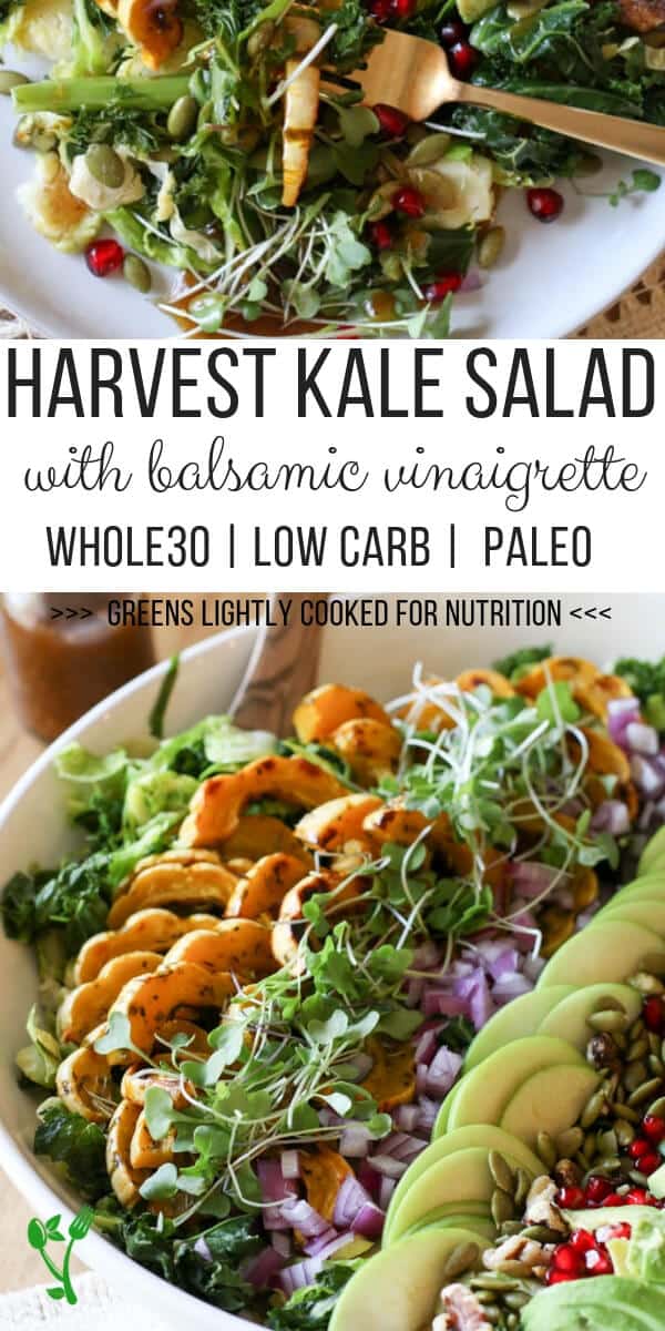 Healthy Harvest Kale Salad - This Harvest Kale Salad is Paleo, Whole30, and Low Carb. Every bite of this salad is loaded with incredible autumn flavors from nourishing kale and Brussel sprouts, delicata squash and smooth balsamic vinaigrette. #lowcarb #harvest