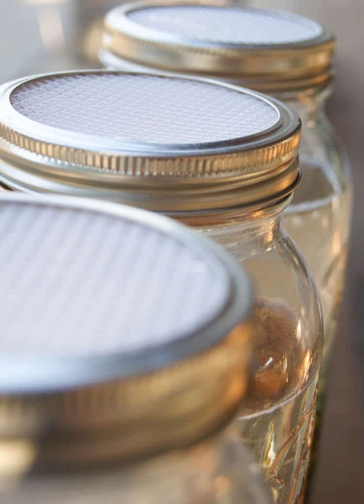 DIY Soaking & Sprouting Lids for Mason Jars - These DIY Soaking & Sprouting Lids for Mason Jars can be made at home for 5 cents each. Economical way to absorb more nutrients.