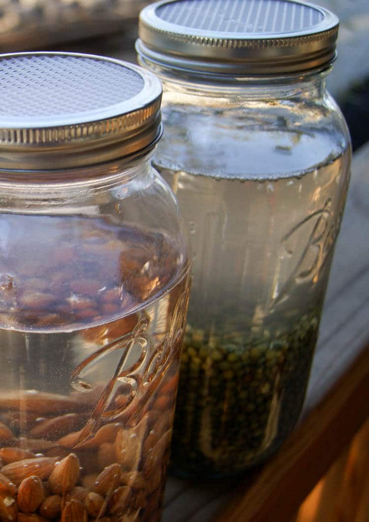 DIY Soaking & Sprouting Lids for Mason Jars - These DIY Soaking & Sprouting Lids for Mason Jars can be made at home for 5 cents each. Economical way to absorb more nutrients.