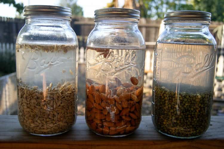 DIY Soaking & Sprouting Lids for Mason Jars - These DIY Soaking & Sprouting Lids for Mason Jars can be made at home for 5 cents each. Economical way to absorb more nutrients.