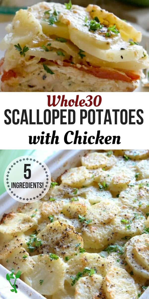 Whole 30 Scalloped Potatoes with Chicken - This Easy Chicken Scalloped Potato comes together quickly and easily. With only 5 main ingredients, this bake is delicious and naturally Whole30 compliant. Enjoy with a side salad for a complete nourishing meal. #onepot #whole30 #chicken
