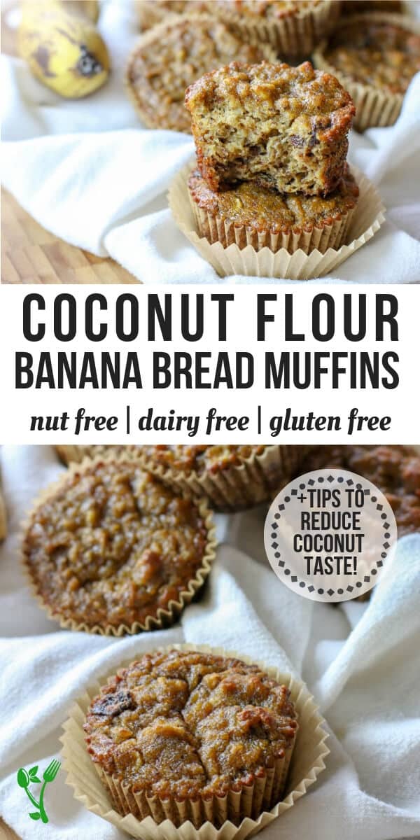Paleo Coconut Flour Banana Bread Muffins -Made with coconut flour and are dairy free, nut free, gluten and grain free. They make a delicious, perfectly moist Paleo treat or breakfast on the go. #glutenfreebananabread #paleosweets 