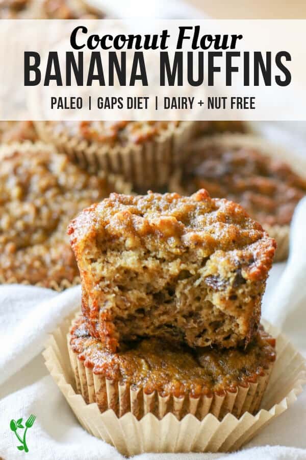 Paleo Coconut Flour Banana Bread Muffins -Made with coconut flour and are dairy free, nut free, gluten and grain free. They make a delicious, perfectly moist Paleo treat or breakfast on the go. #glutenfreebananabread #paleosweets 