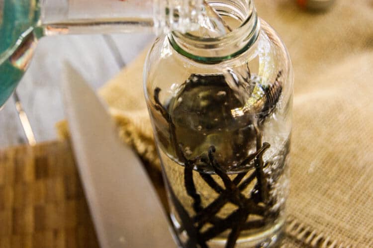 Vodka is poured over vanilla beans to make vanilla bean extract.