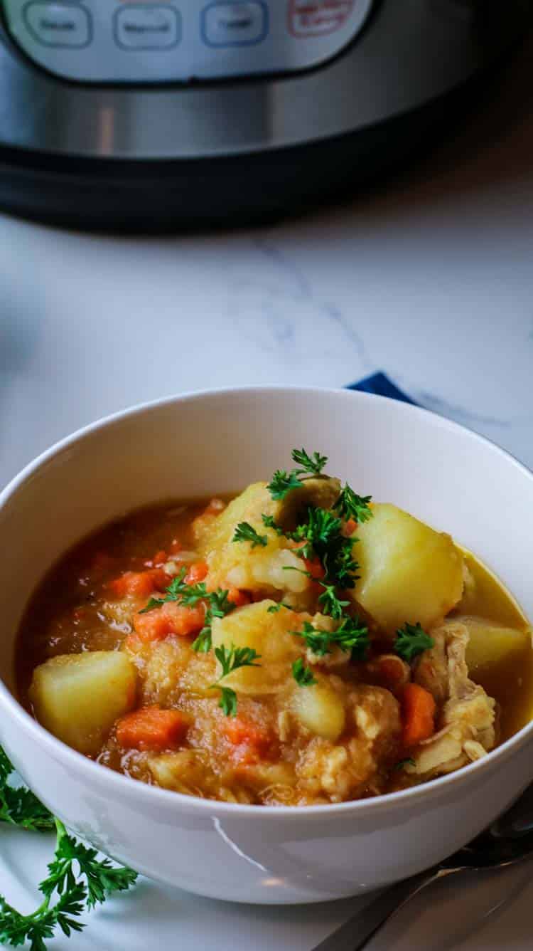 Chicken stew in a bowl with Instant Pot in the background