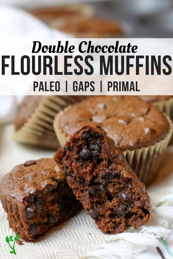 Double Chocolate Flourless Muffins 