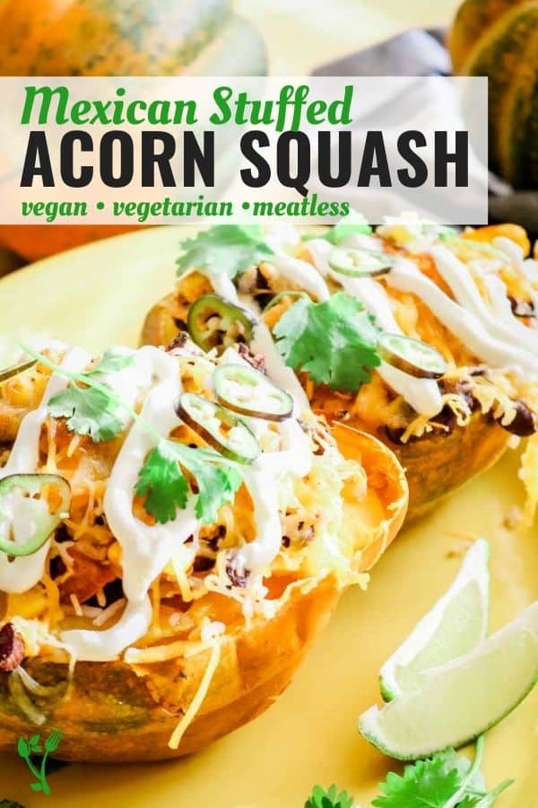 Mexican Stuffed Acorn Squash that is vegan, vegetarian and meatless