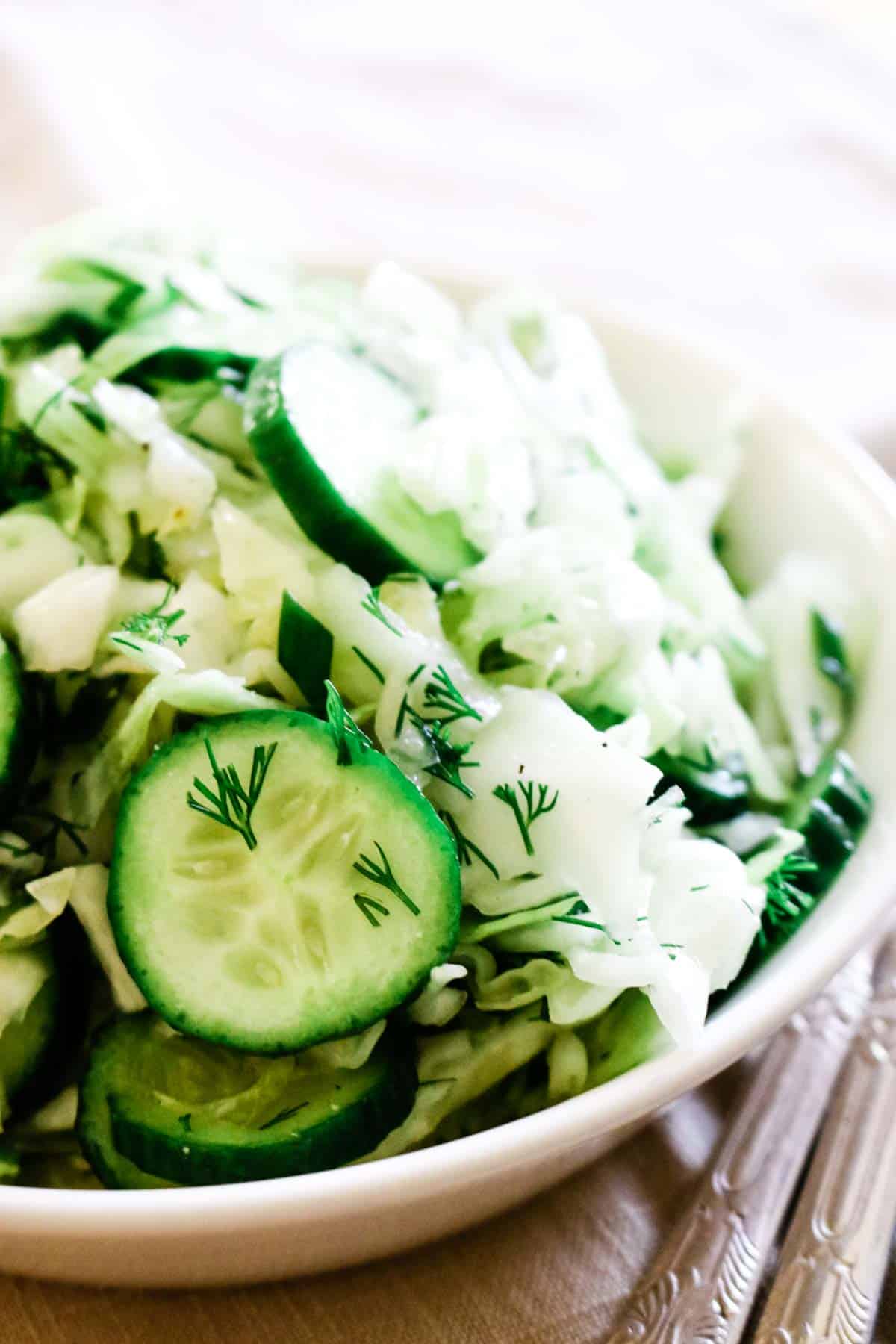 Cucumber, cabbage, dill, and green onion salad in white bowl