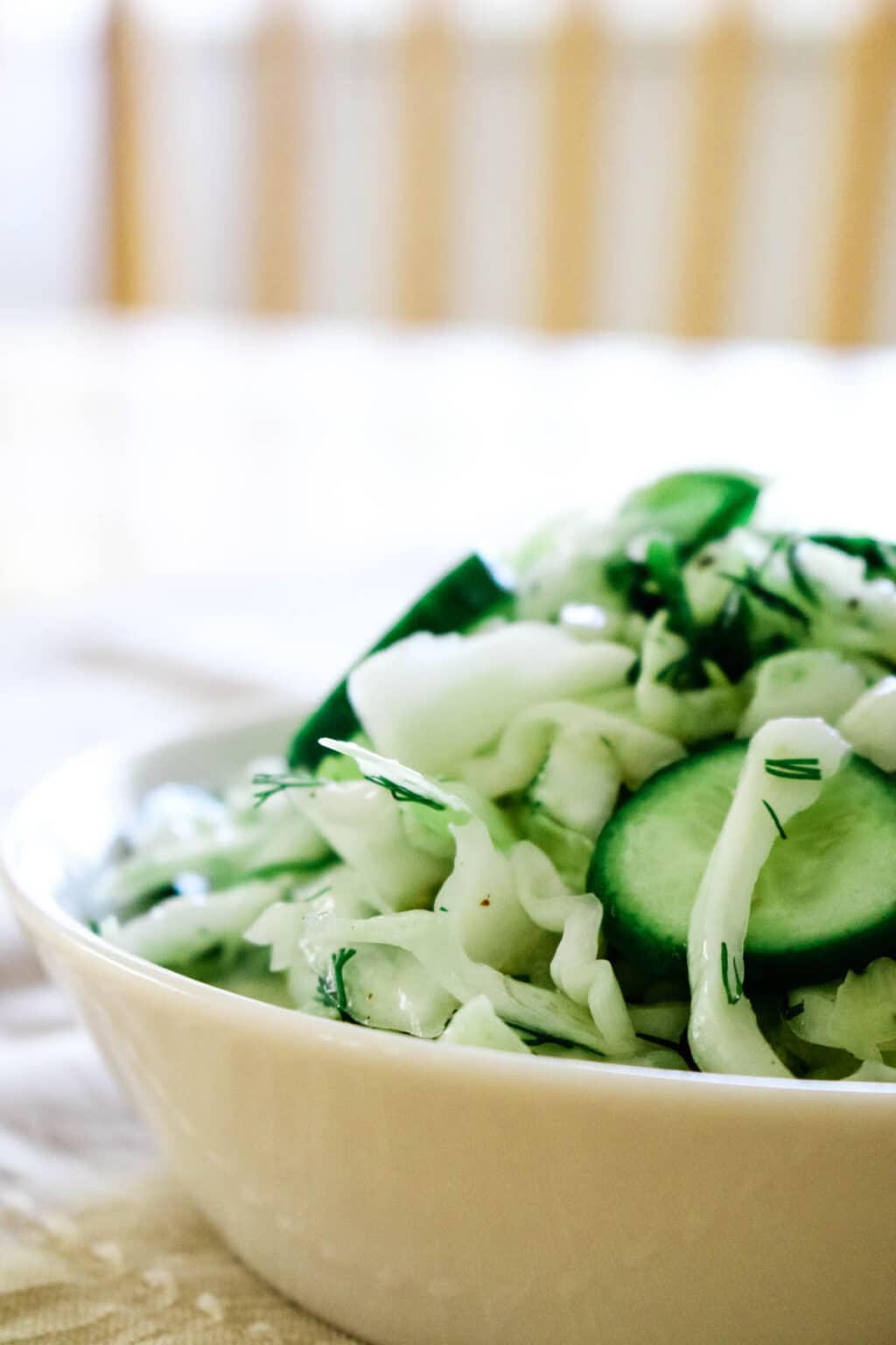 Cabbage Cucumber Salad Prepare + Nourish