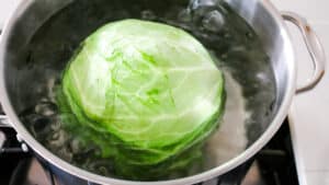 Cooking cabbage in a pot of water