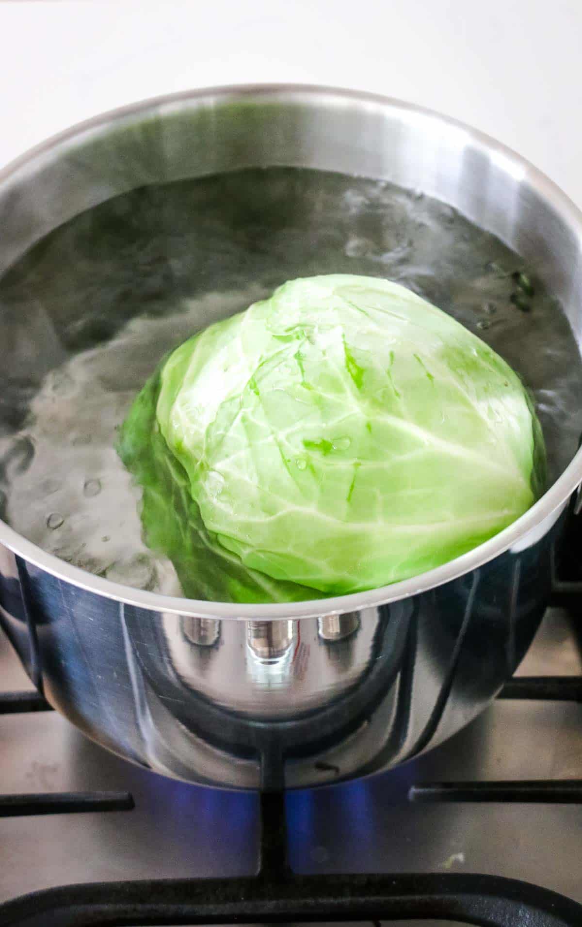green cabbage in a large pot of water on stovetop