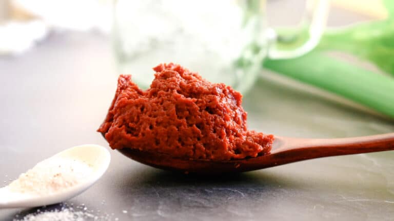 Tomato paste on a wooden spoon with salt