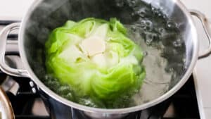 cabbage in a pot of water with root exposed
