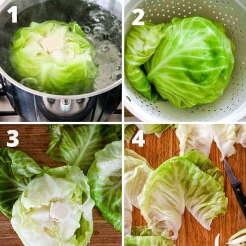 Stuffed Cabbage Rolls Prepare + Nourish