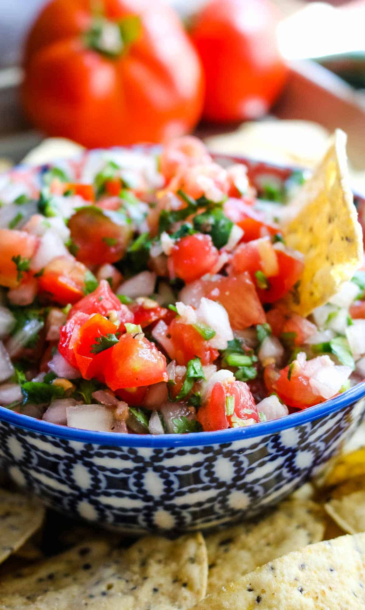 bowl full of tomato salsa with tortilla chip