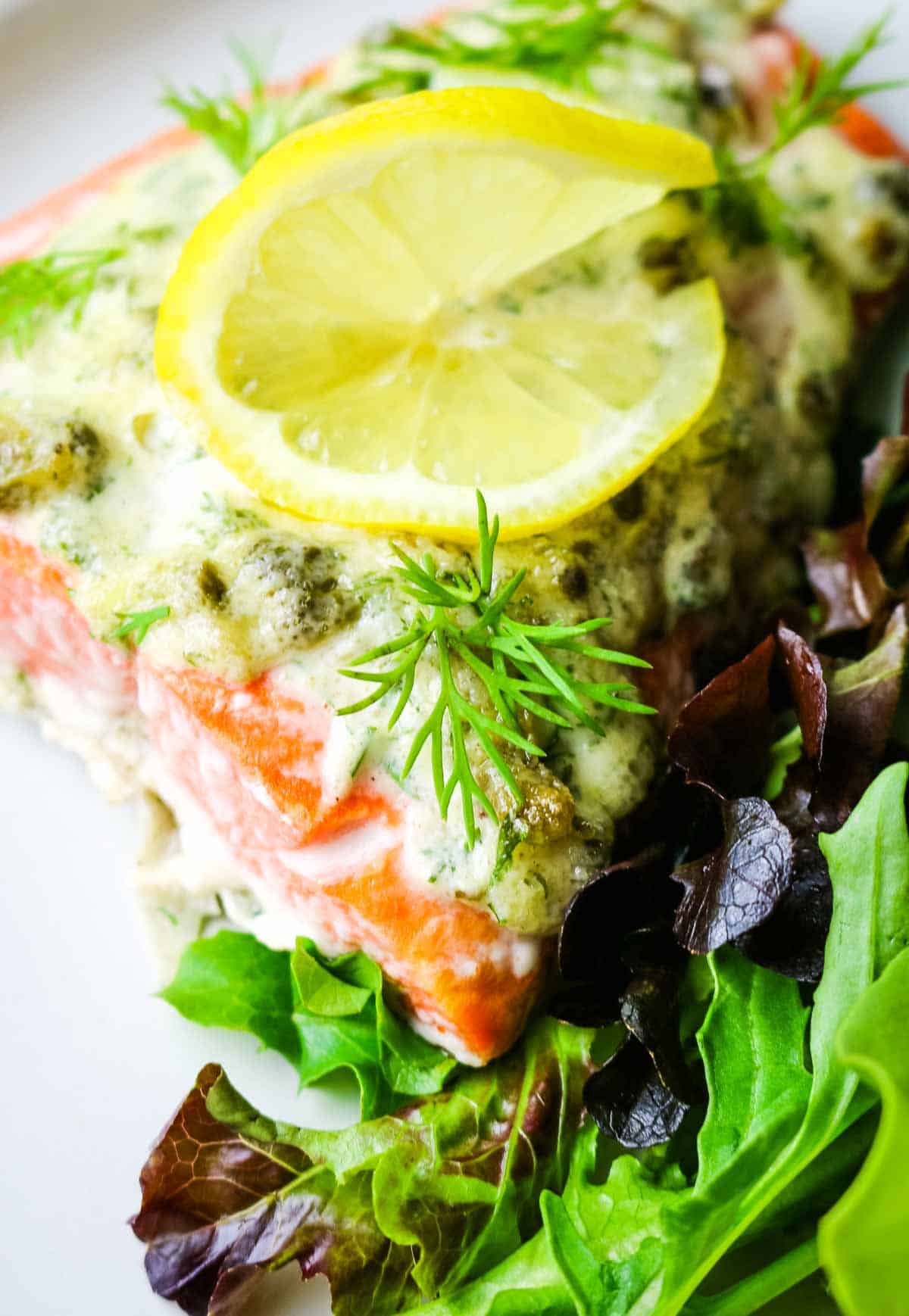 salmon with green salad and lemon slice.