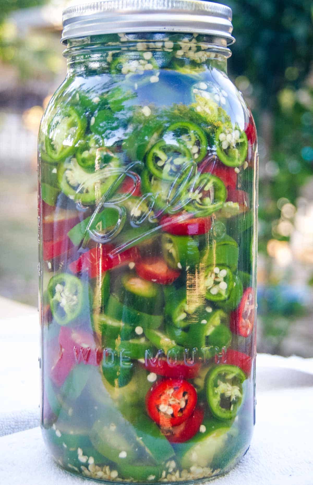 large jar of sliced jalapenos in briny liquid for how to make lacto-fermented jalapeno peppers