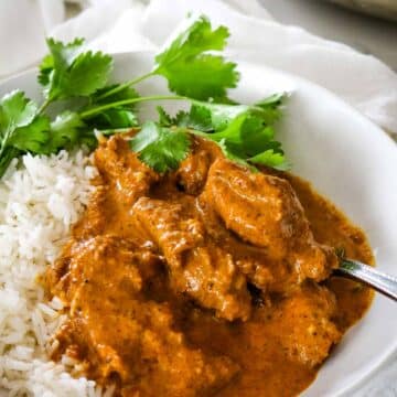 up close image of butter chicken with rice