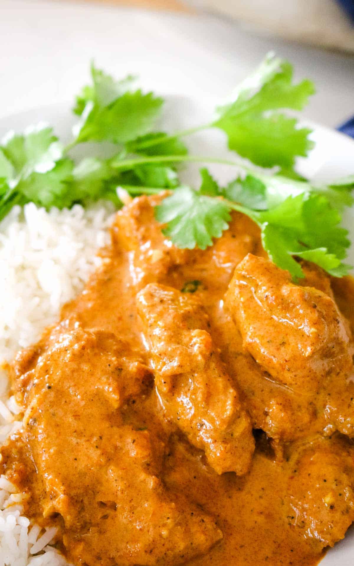 Close up of butter chicken with cilantro garnish