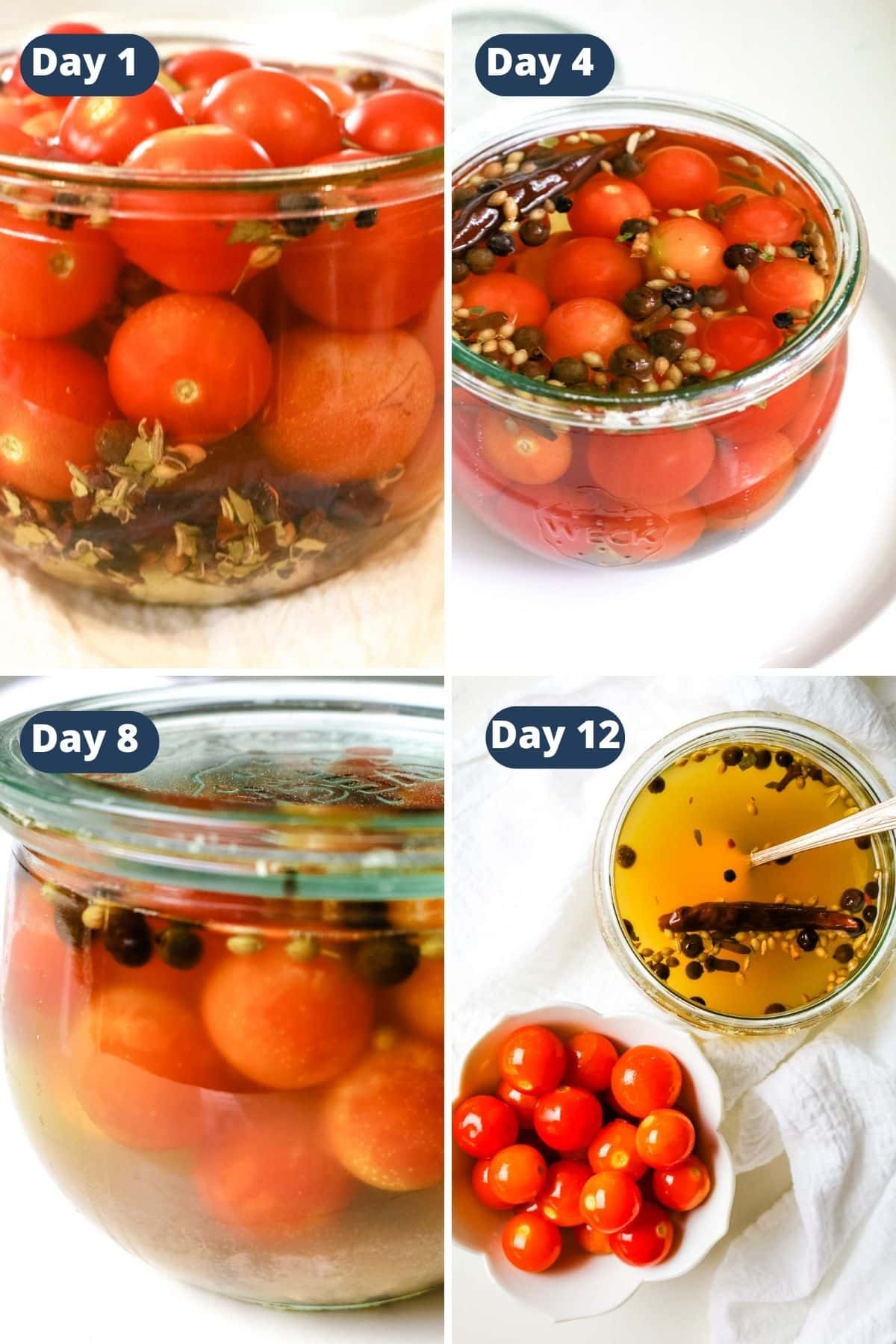 timeline of fermented tomatoes shows gradual cloudiness of brine.