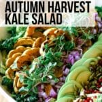 kale salad with delicata squash and green apples.