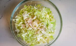 salt added to shredded cabbage