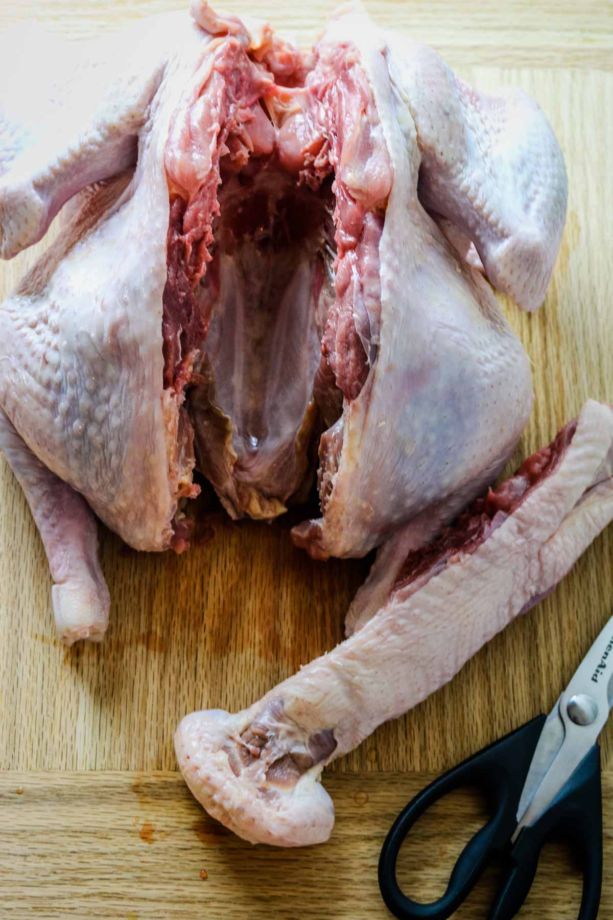 removed turkey back with kitchen shears