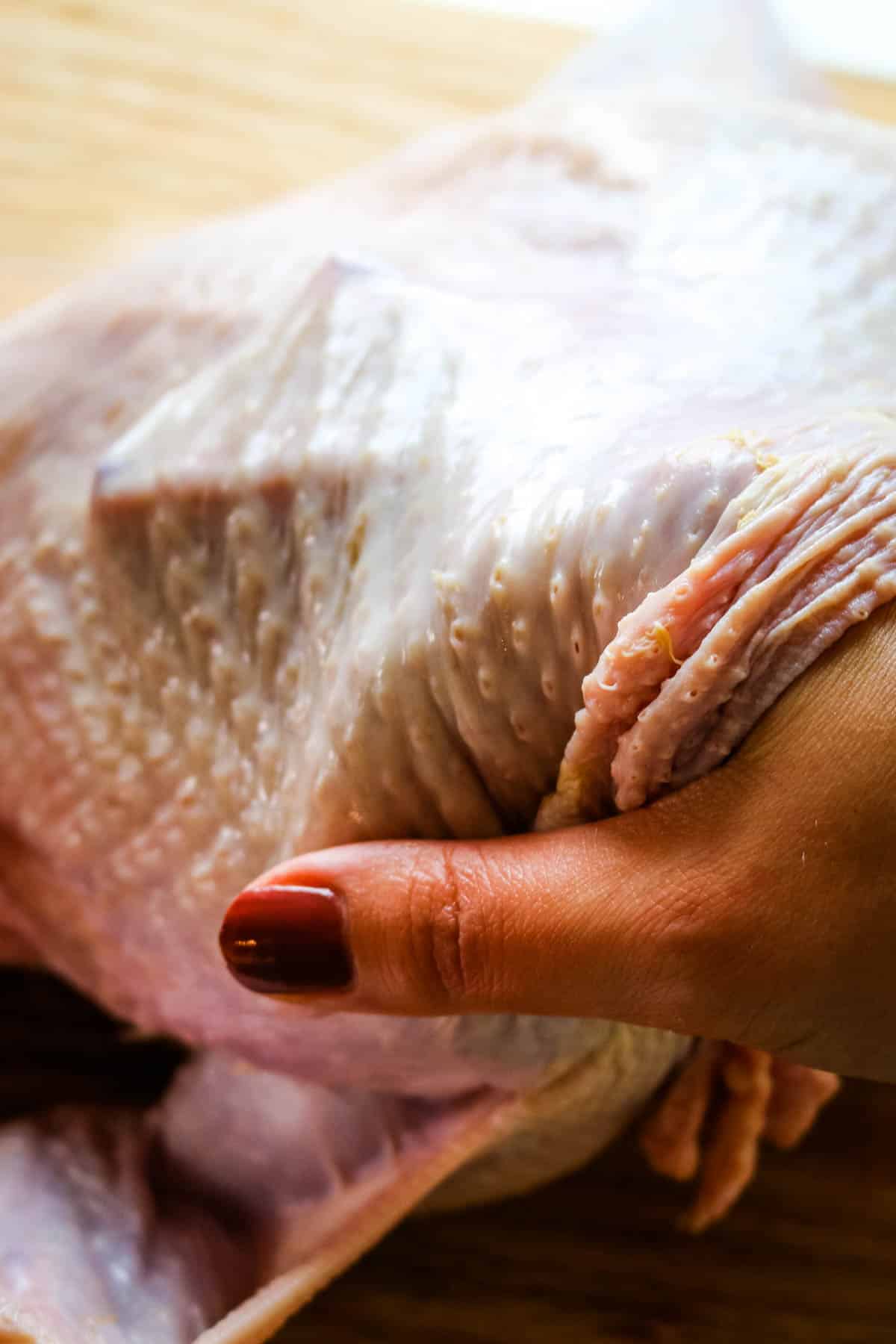 separating skin from meat in turkey.
