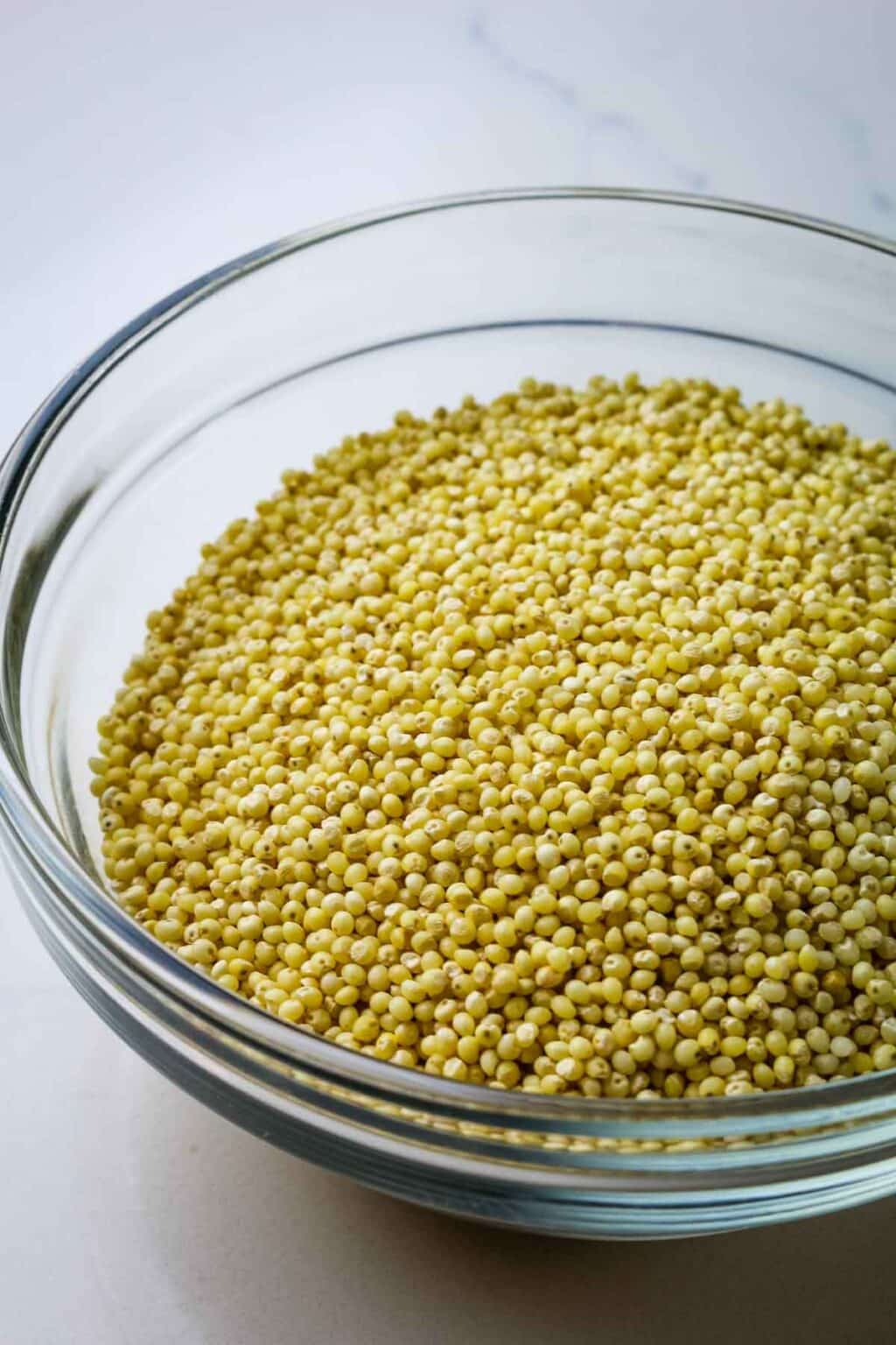 Instant Pot Millet (Quick and Fluffy!) Prepare + Nourish