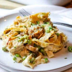 tuna noodle casserole on white plate.