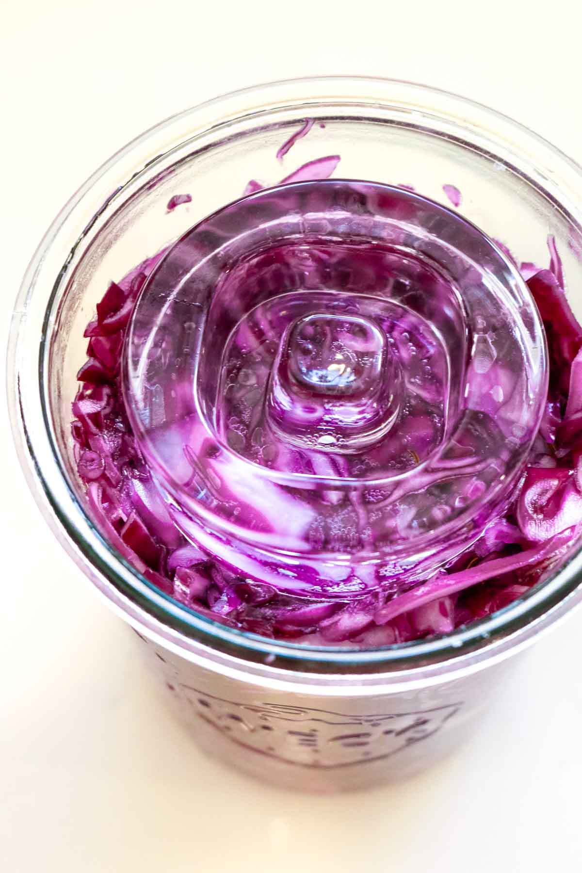 fermentation weight on red cabbage in jar.