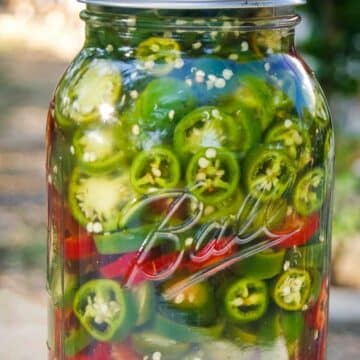 fermented jalapeno slices in mason jar | how to lacto-ferment jalapeno peppers