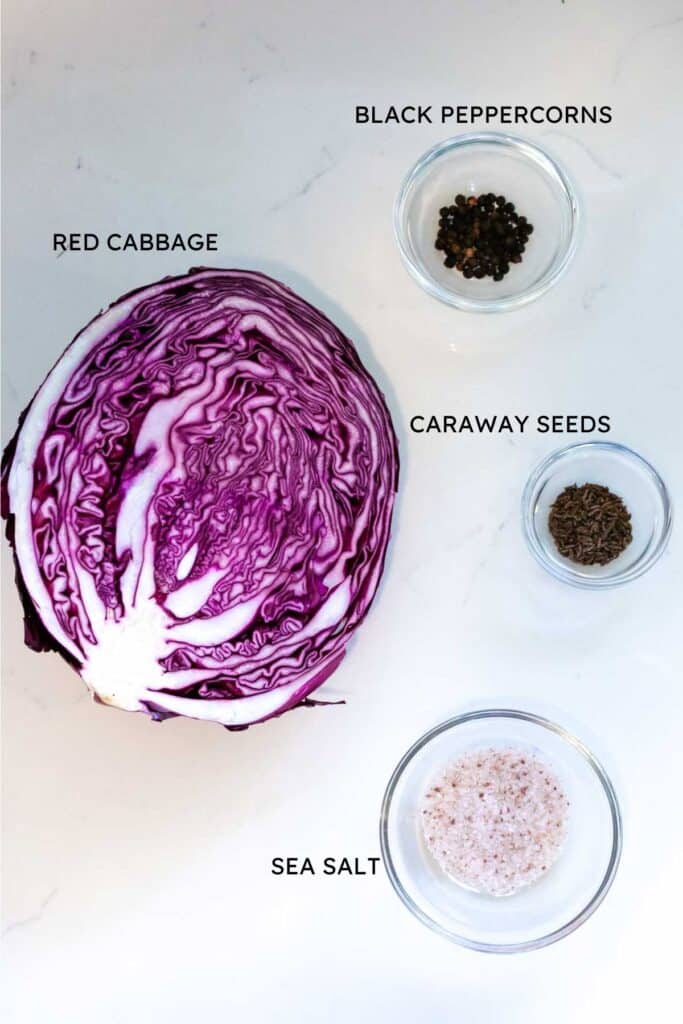 Red Cabbage Sauerkraut Recipe (Fermented Red Cabbage) Prepare + Nourish