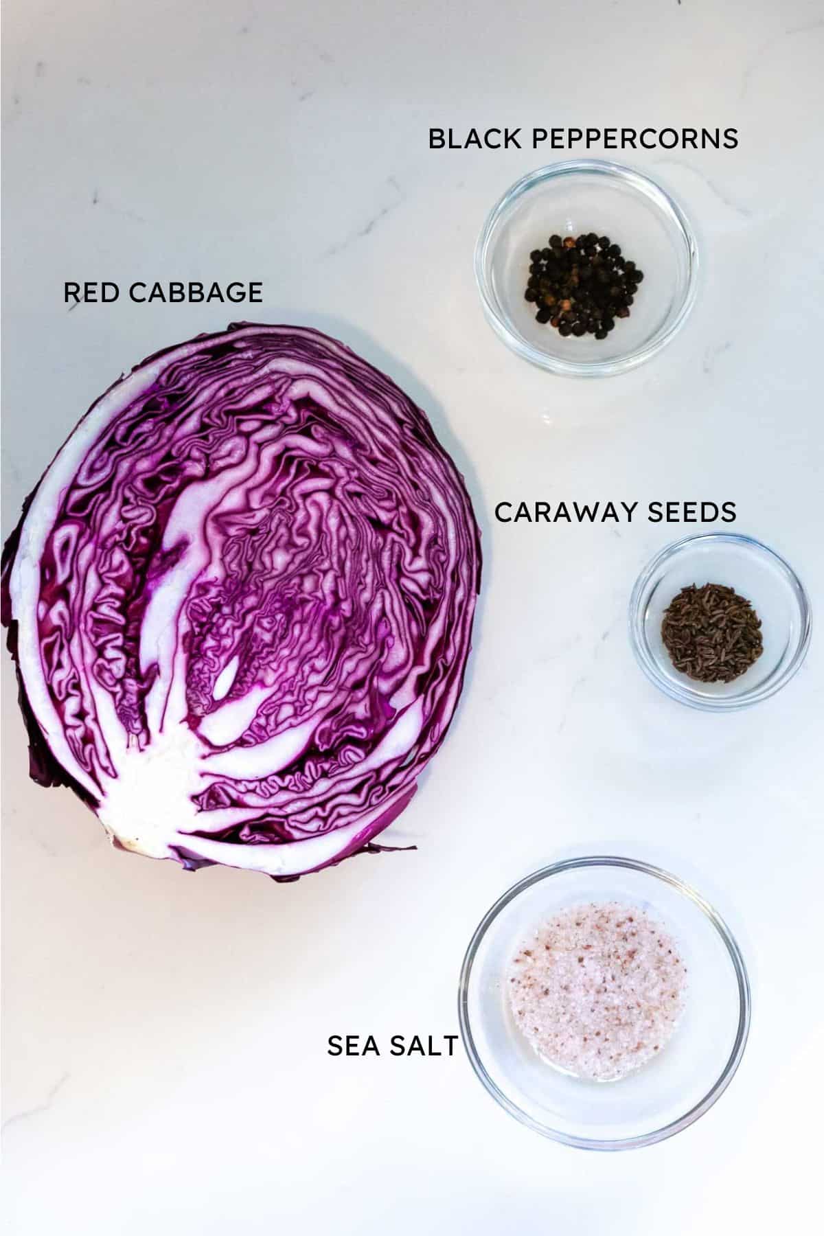 labeled ingredients for red cabbage kraut.