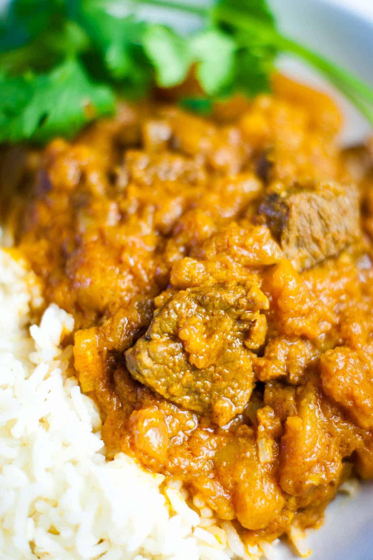 close up of lamb curry with tomato coconut sauce.