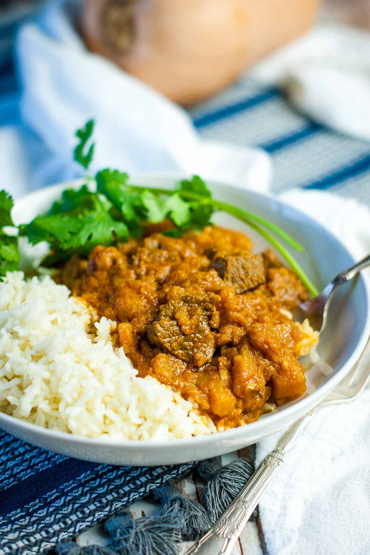 red meat and squash curry with white rice.