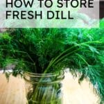 dill in glass jar on wooden board for a post on how to store fresh dill.