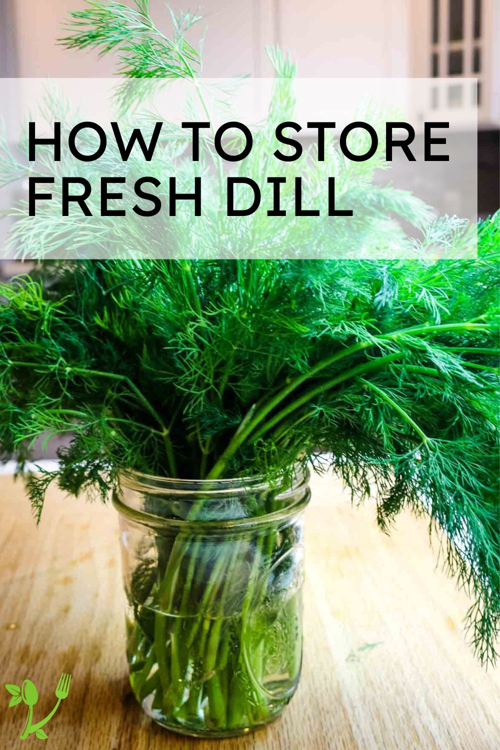 How to Store Fresh Dill 3 Easy Ways to Preserve Herbs Prepare + Nourish