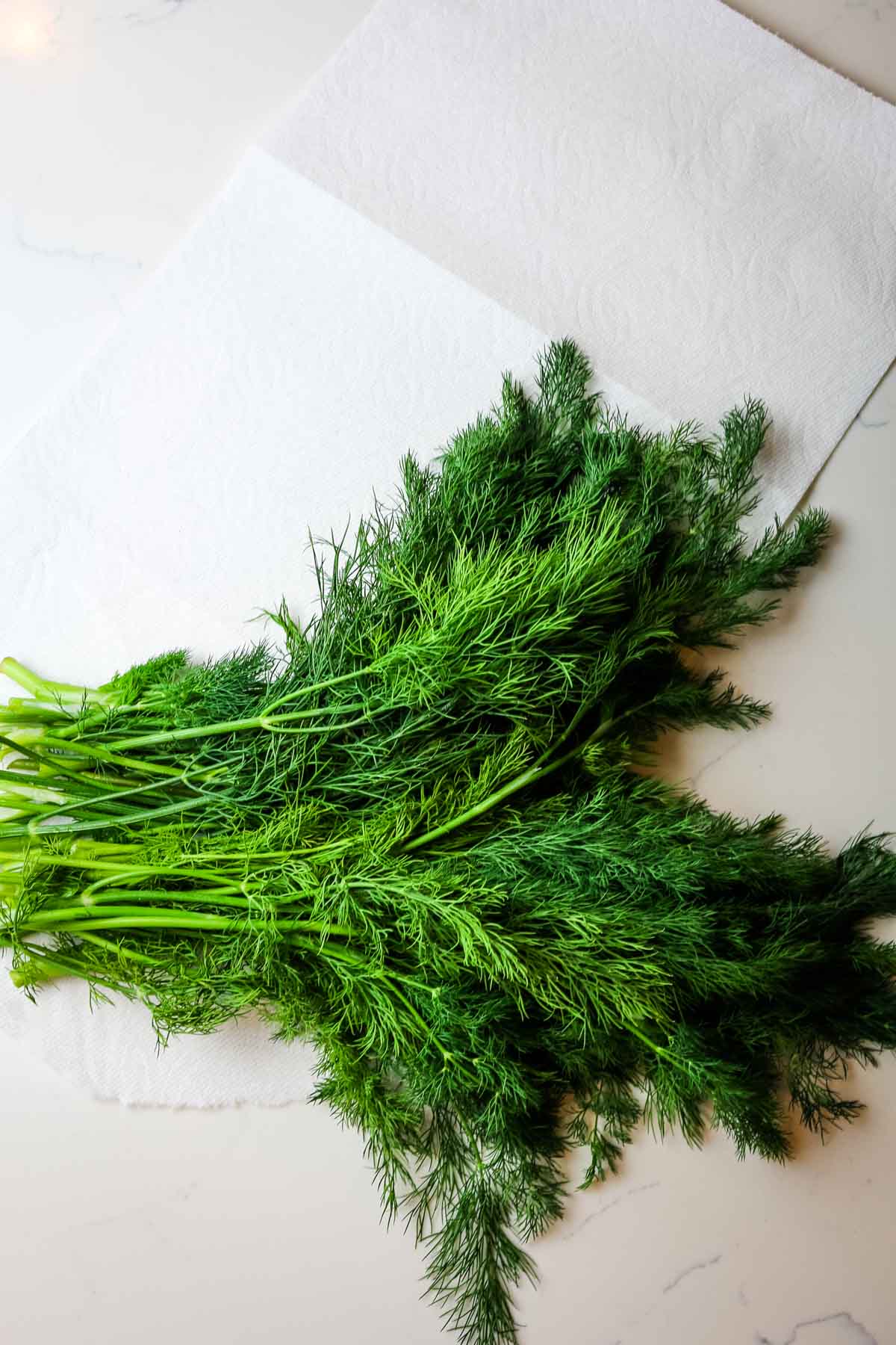washed and dried dill on paper towel for a post on how to chop dill.