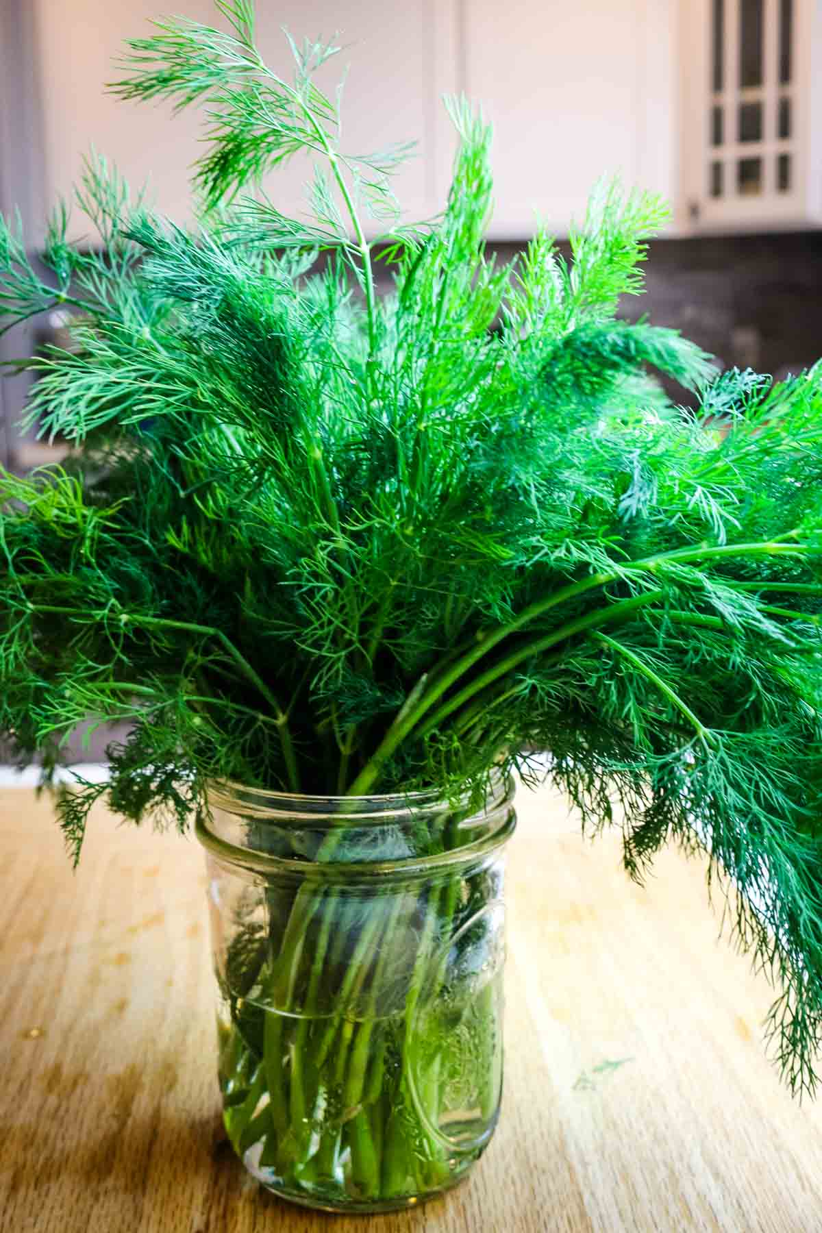 fresh dill in jar for how to store fresh dill to preserve methods