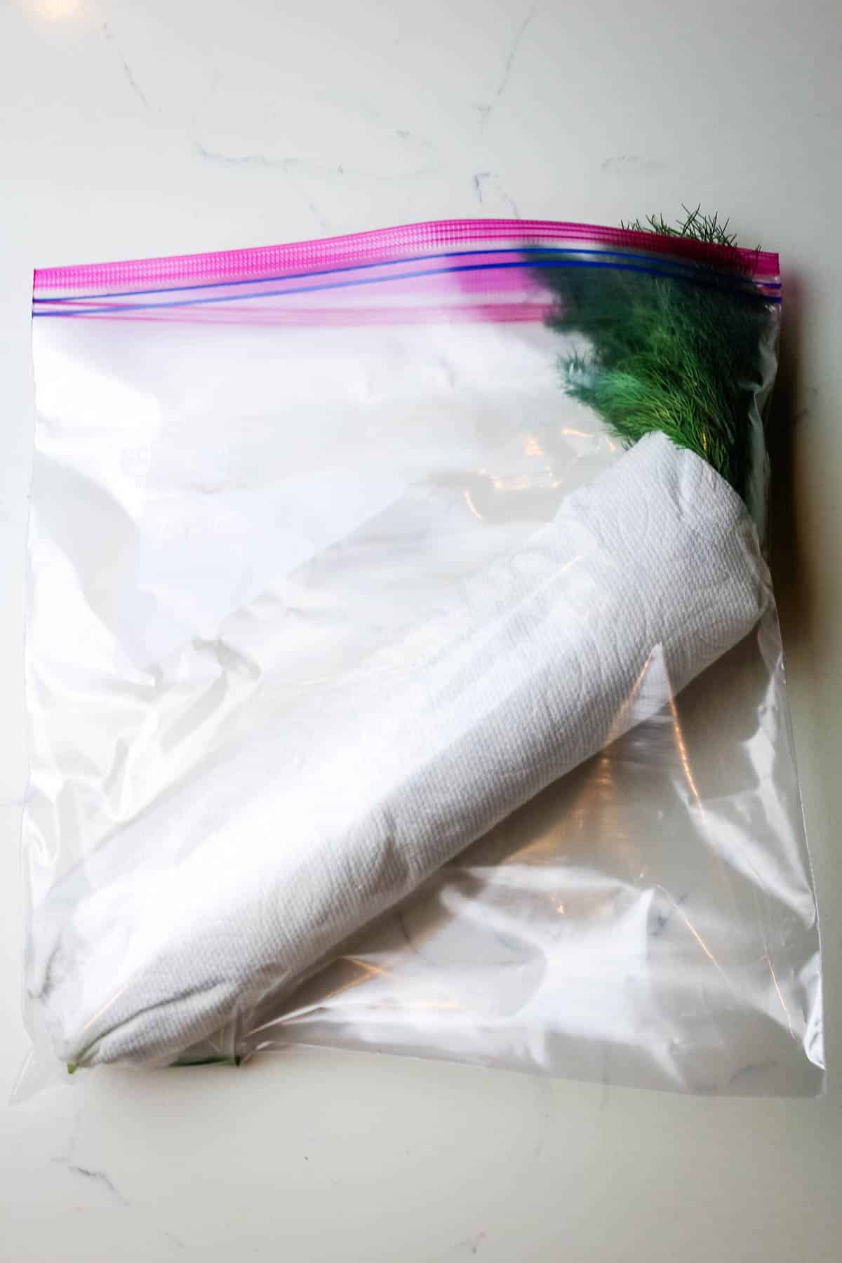 how to store dill in paper towel and freezer bag.