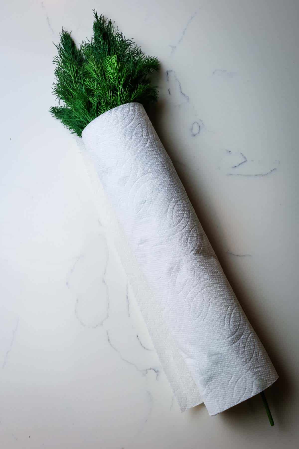 fresh dill wrapped in paper towel for how to store dill. 
