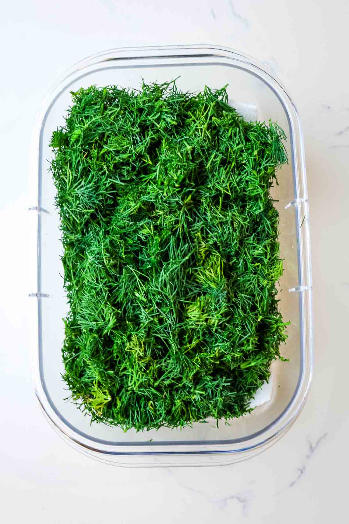 finely chopped fresh dill in a plastic container in a post on how to chop fresh dill.