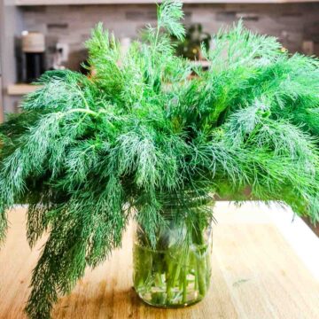 fresh dill in mason jar on wooden board for how to store dill in the fridge.