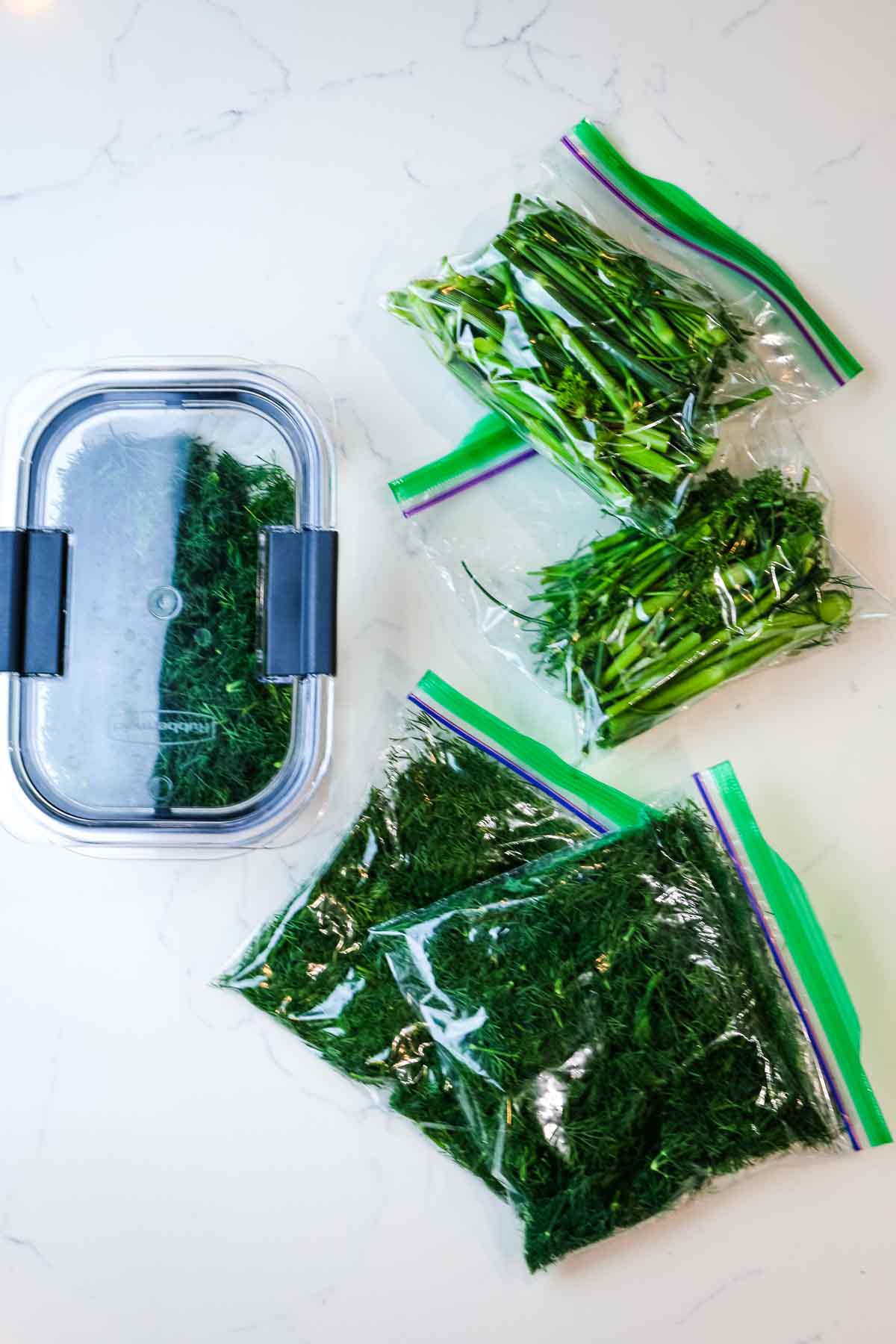 various ways of storing dill - container, plastic bag and rolled in paper towels for a post on how to store fresh dill.