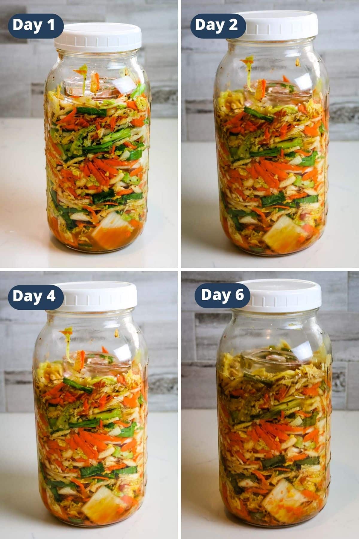 kimchi fermentation timeline with 4 different images of kimchi transforming into a fermented food.